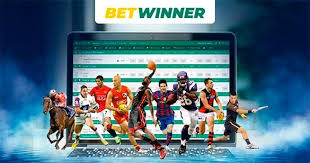 Comprehensive Guide to BetWinner Support