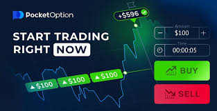 Discover the Best Trading Bot for Pocket Boost Your Trading Success